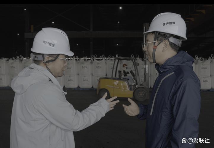 直擊一線 中小投資者走進亞鉀國際老撾工廠的現場考察實錄與投資管理思考