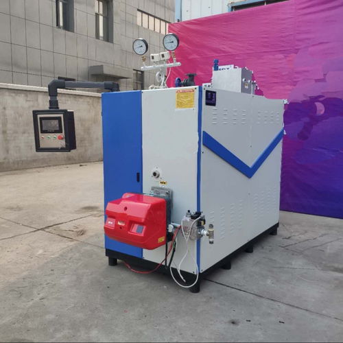 立浦熱能1t燃氣蒸汽發生器在生物設備行業中的應用